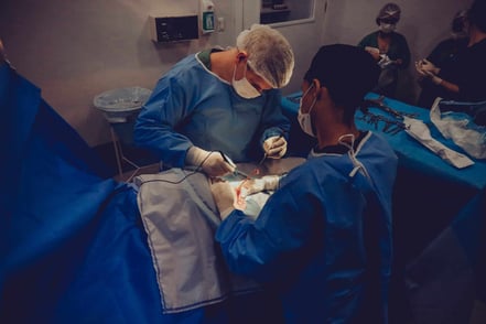 Ransomware Attacks and their impact on the Healthcare System